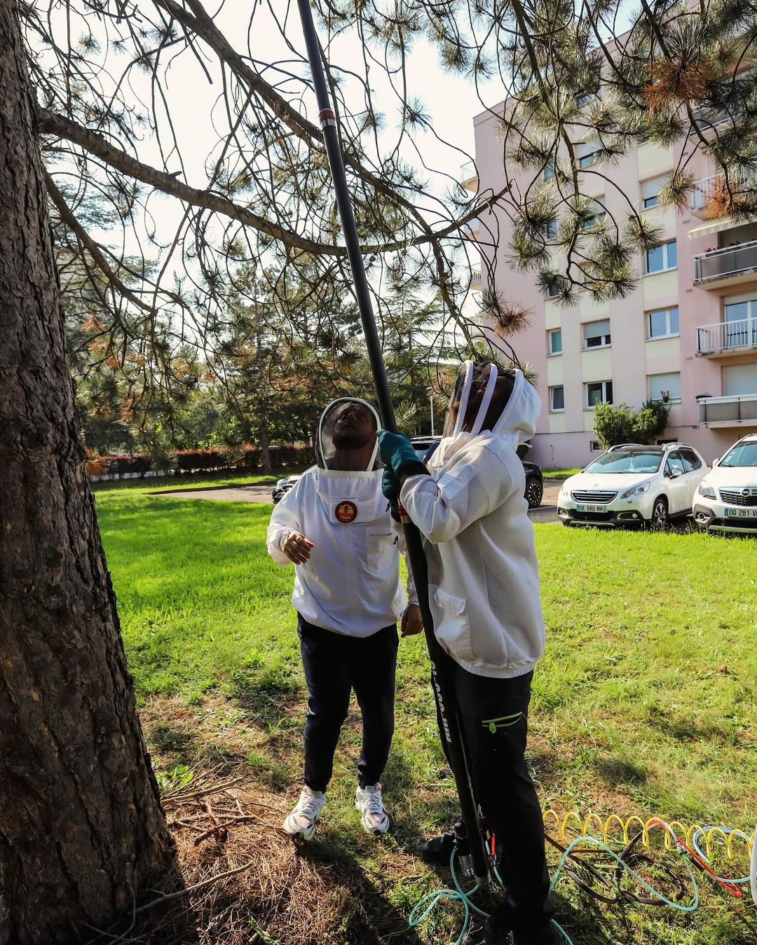 Pour la gestion des nuisibles dans le Bas-Rhin, faites confiance à DARD DES VILLES Bischwiller